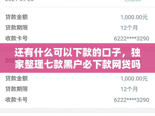还有什么可以下款的口子，独家整理七款黑户必下款网贷吗