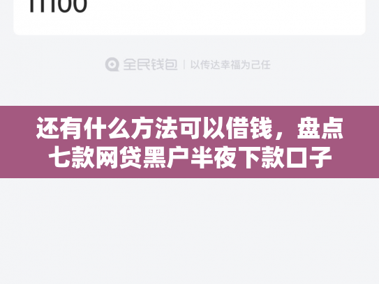 还有什么方法可以借钱，盘点七款网贷黑户半夜下款口子