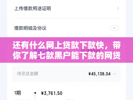 还有什么网上贷款下款快，带你了解七款黑户能下款的网贷？