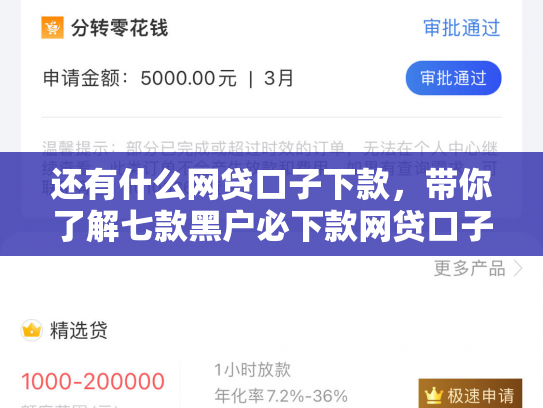 还有什么网贷口子下款，带你了解七款黑户必下款网贷口子