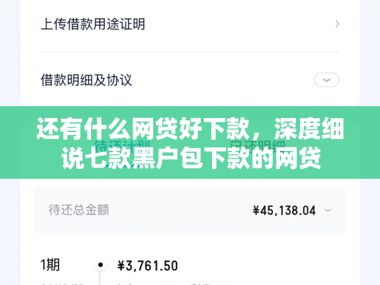 还有什么网贷好下款，深度细说七款黑户包下款的网贷