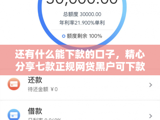 还有什么能下款的口子，精心分享七款正规网贷黑户可下款