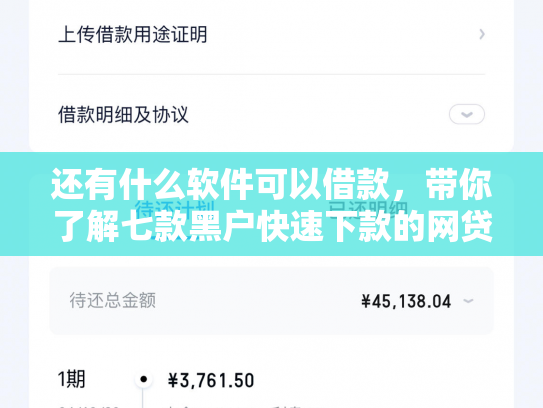 还有什么软件可以借款，带你了解七款黑户快速下款的网贷