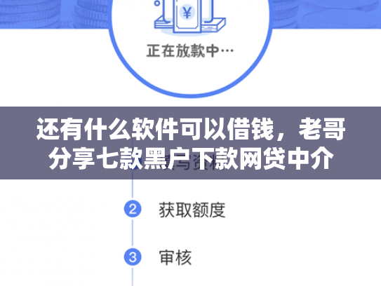 还有什么软件可以借钱，老哥分享七款黑户下款网贷中介