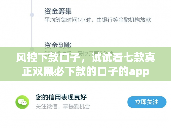 风控下款口子，试试看七款真正双黑必下款的口子的app