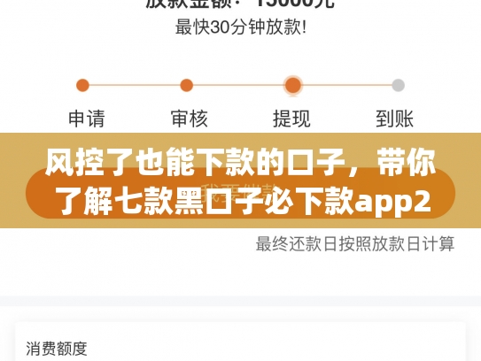 风控了也能下款的口子，带你了解七款黑口子必下款app2025苹果手机