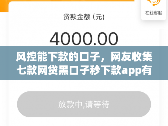 风控能下款的口子，网友收集七款网贷黑口子秒下款app有哪些