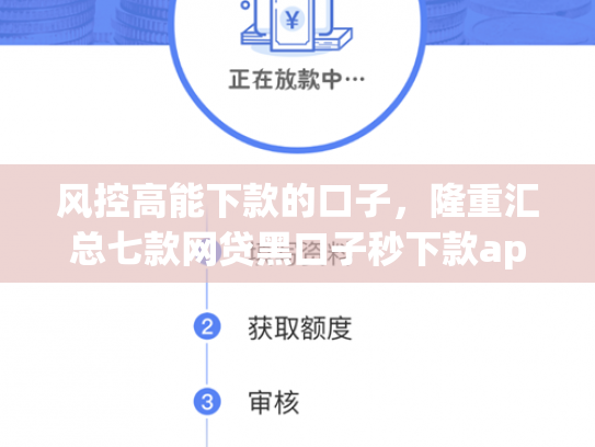 风控高能下款的口子，隆重汇总七款网贷黑口子秒下款app2025