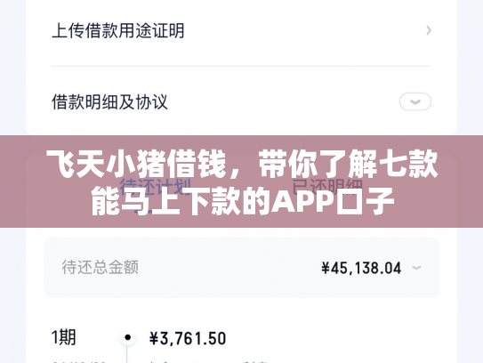 飞天小猪借钱，带你了解七款能马上下款的APP口子