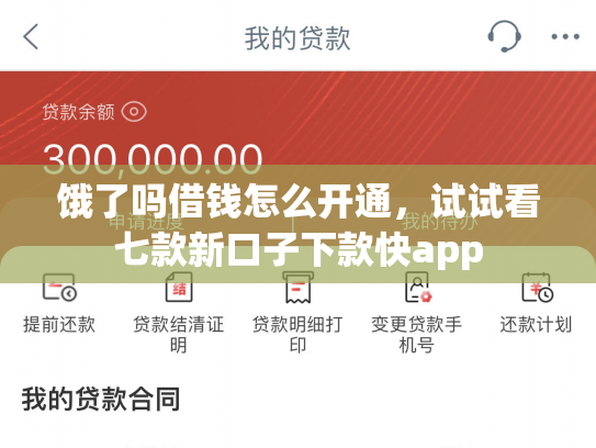 饿了吗借钱怎么开通，试试看七款新口子下款快app
