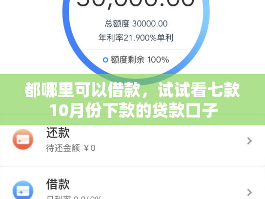 都哪里可以借款，试试看七款10月份下款的贷款口子