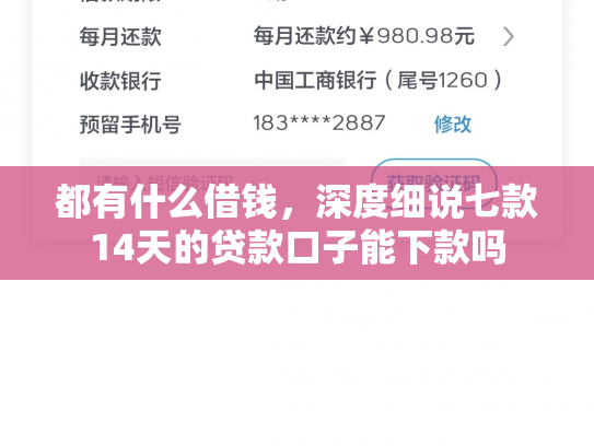 都有什么借钱，深度细说七款14天的贷款口子能下款吗