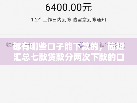 都有哪些口子能下款的，简短汇总七款贷款分两次下款的口子