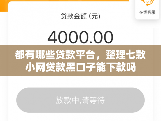 都有哪些贷款平台，整理七款小网贷款黑口子能下款吗