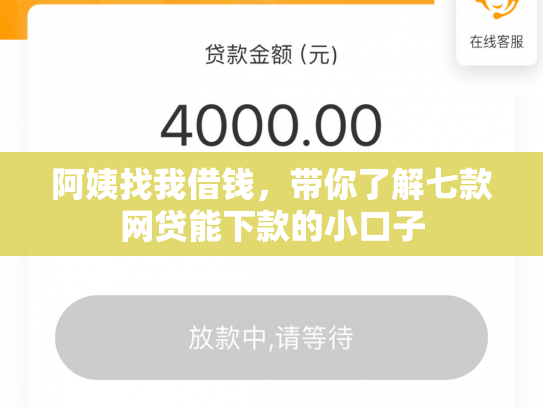 阿姨找我借钱，带你了解七款网贷能下款的小口子