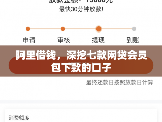 阿里借钱，深挖七款网贷会员包下款的口子