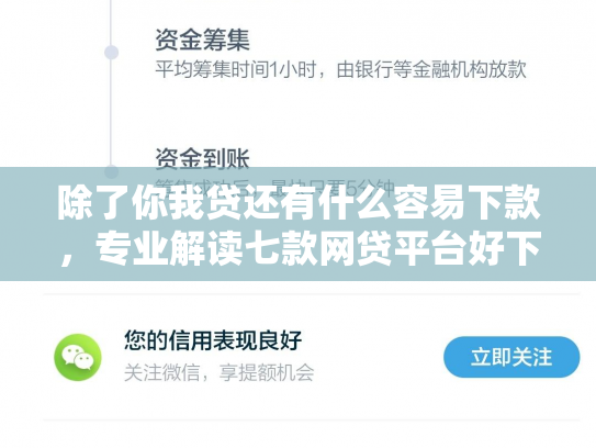 除了你我贷还有什么容易下款，专业解读七款网贷平台好下款的口子