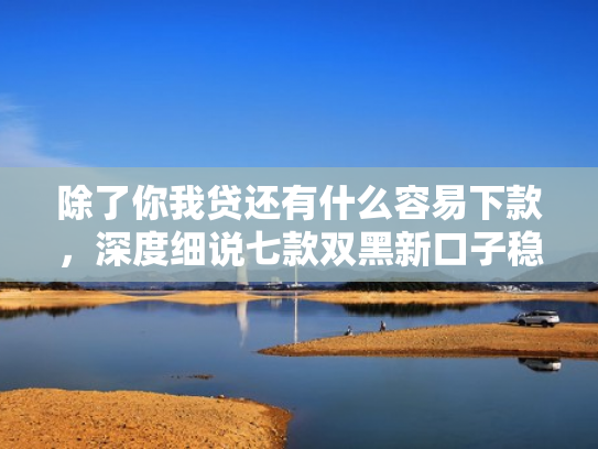除了你我贷还有什么容易下款，深度细说七款双黑新口子稳下款平台