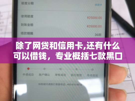 除了网贷和信用卡,还有什么可以借钱，专业概括七款黑口子必下款返佣平台