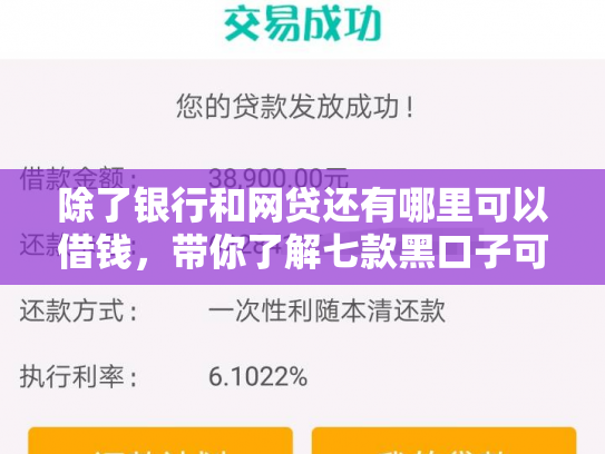 除了银行和网贷还有哪里可以借钱，带你了解七款黑口子可以下款的平台