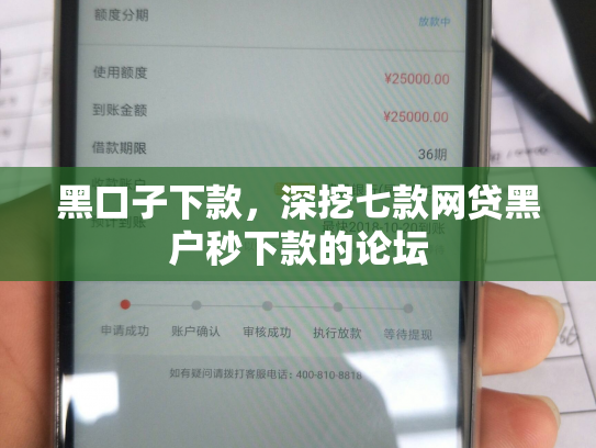 黑口子下款，深挖七款网贷黑户秒下款的论坛