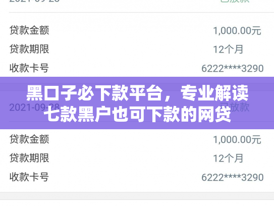 黑口子必下款平台，专业解读七款黑户也可下款的网贷
