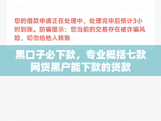 黑口子必下款，专业概括七款网贷黑户能下款的贷款