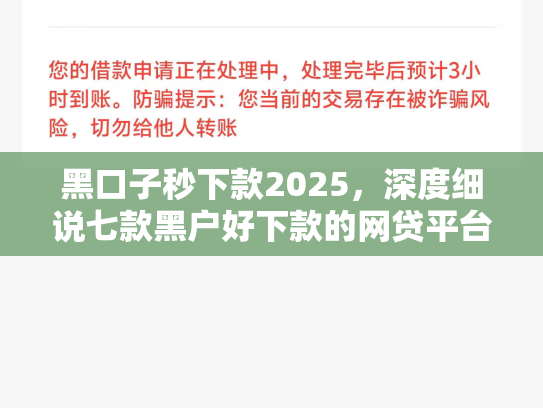 黑口子秒下款2025，深度细说七款黑户好下款的网贷平台