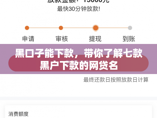 黑口子能下款，带你了解七款黑户下款的网贷名
