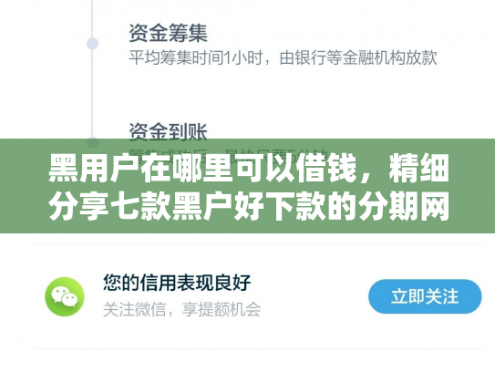 黑用户在哪里可以借钱，精细分享七款黑户好下款的分期网贷