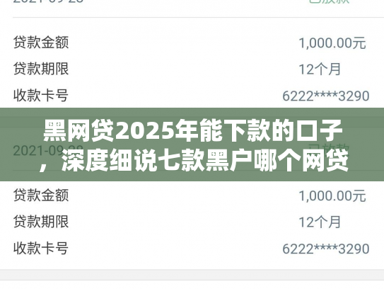黑网贷2025年能下款的口子，深度细说七款黑户哪个网贷最容易下款