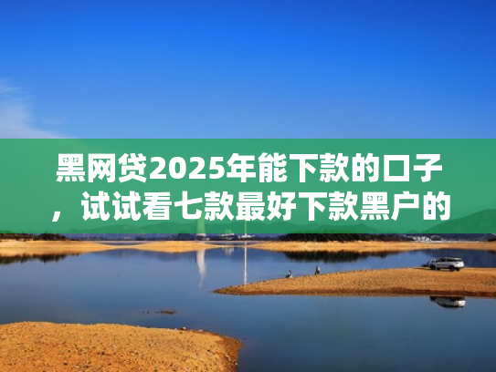 黑网贷2025年能下款的口子，试试看七款最好下款黑户的网贷口子