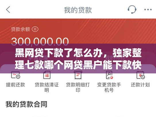 黑网贷下款了怎么办，独家整理七款哪个网贷黑户能下款快