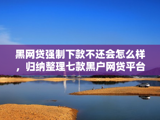 黑网贷强制下款不还会怎么样，归纳整理七款黑户网贷平台秒下款简单