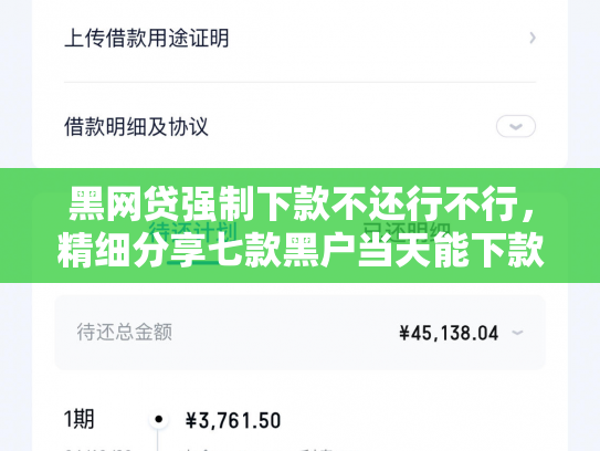 黑网贷强制下款不还行不行，精细分享七款黑户当天能下款的网贷