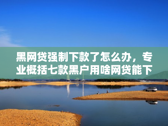 黑网贷强制下款了怎么办，专业概括七款黑户用啥网贷能下款
