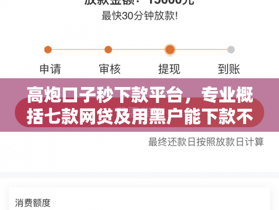 高炮口子秒下款平台，专业概括七款网贷及用黑户能下款不