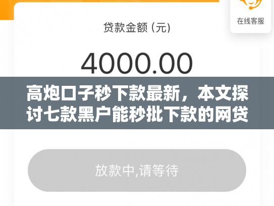 高炮口子秒下款最新，本文探讨七款黑户能秒批下款的网贷