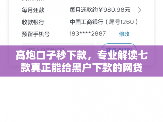 高炮口子秒下款，专业解读七款真正能给黑户下款的网贷
