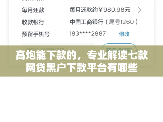 高炮能下款的，专业解读七款网贷黑户下款平台有哪些