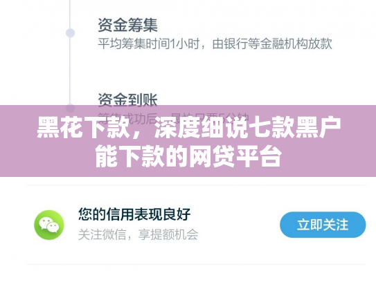 黑花下款，深度细说七款黑户能下款的网贷平台