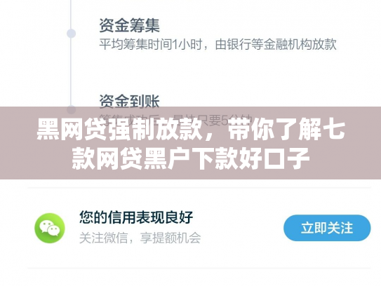 黑网贷强制放款，带你了解七款网贷黑户下款好口子
