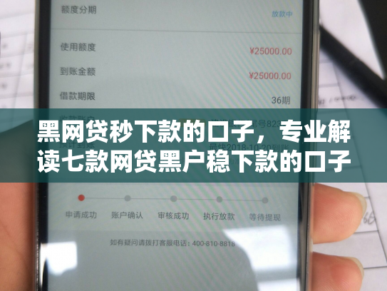 黑网贷秒下款的口子，专业解读七款网贷黑户稳下款的口子