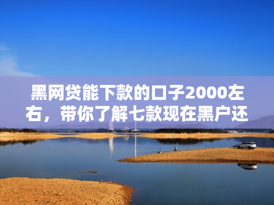 黑网贷能下款的口子2000左右，带你了解七款现在黑户还下款的网贷