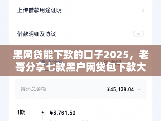 黑网贷能下款的口子2025，老哥分享七款黑户网贷包下款大口子