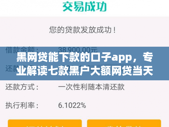 黑网贷能下款的口子app，专业解读七款黑户大额网贷当天下款