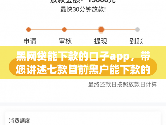 黑网贷能下款的口子app，带您讲述七款目前黑户能下款的网贷