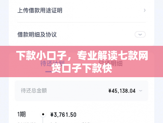 下款小口子，专业解读七款网贷口子下款快