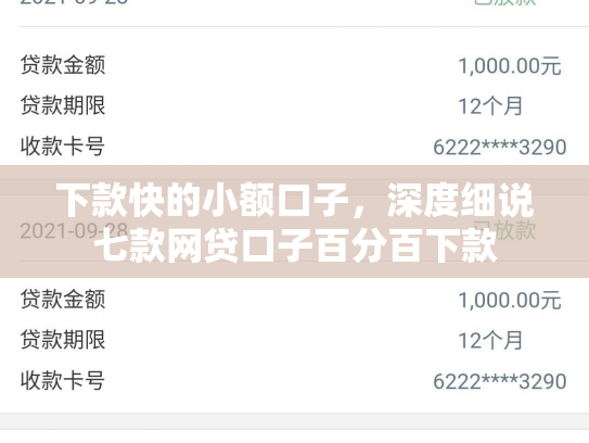 下款快的小额口子，深度细说七款网贷口子百分百下款