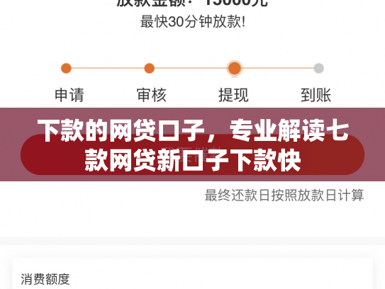 下款的网贷口子，专业解读七款网贷新口子下款快